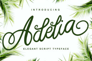 Adelia: A Graceful Script for Elegant Projects