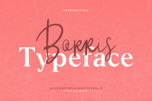 Borris: A Bold and Modern Display Font for Web Design