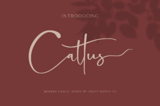 Cattus: A Modern Script Font for Contemporary Web Design