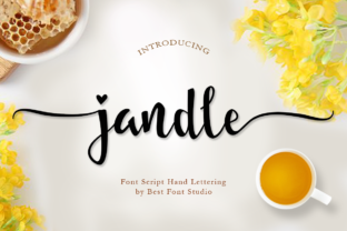 Transform Your Brand with Jandle: A Charming Handwritten Font